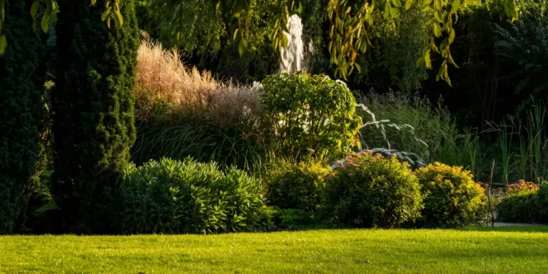 A Secluded Yard Beyond the Privacy Fence